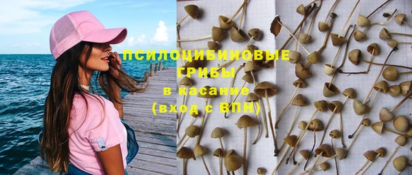 МДПВ Остров