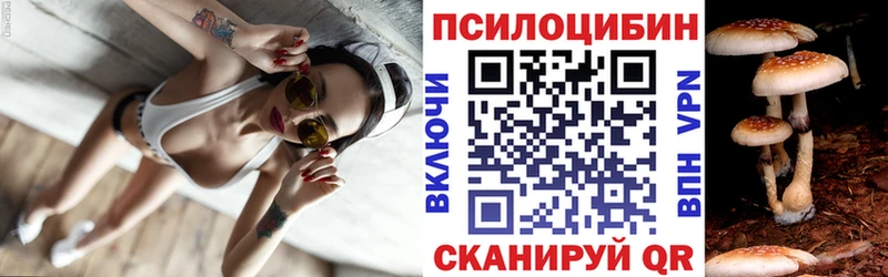 блэк спрут зеркало  Руза  Псилоцибиновые грибы Psilocybine cubensis  магазин   